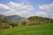 Starhemberg