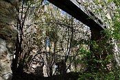 Starhemberg