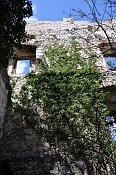 Starhemberg