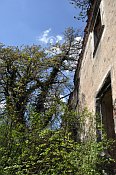 Starhemberg