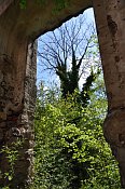 Starhemberg