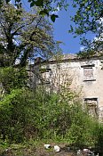 Starhemberg