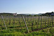 Liechtenstein