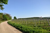 Liechtenstein
