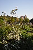 Liechtenstein