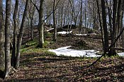 Festenberg