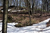 Festenberg