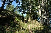 Weinsberg