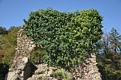 Freyenstein  doln hrad