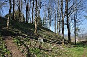 Altaist  relif na vchodn stran