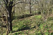 Luftenberg