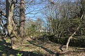 Luftenberg