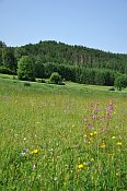Burgleiten  hradn vrch od SV