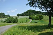 Anschau