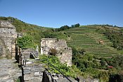 Senftenberg