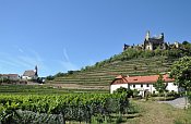 Senftenberg  kostel a hrad