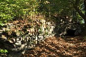 Buchenstein