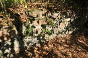 Buchenstein