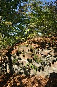 Buchenstein