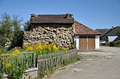 Maiersch