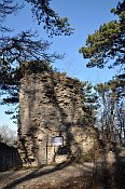 Kammerstein