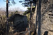 Kammerstein