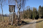Schallenberg  motiv u cesty k hradu
