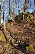 Harchheim