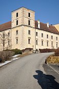 Kattau