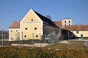 Kattau