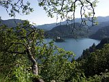 Jezero Bled od hradu