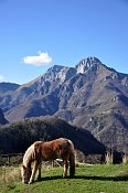 Trassilico  pohled k Pania Secca (1711 m)