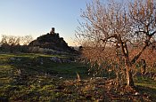 Torre degli Uppezzinghi