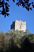 Torre Niccolai