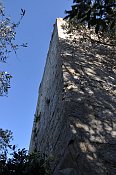 Torre Niccolai