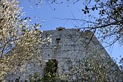 Torre Niccolai