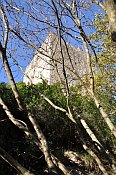 Torre Niccolai