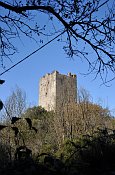 Torre Niccolai
