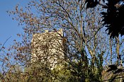 Torre Niccolai