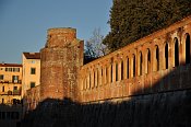 Pisa  Cittadella Nuova
