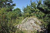 Dlžín – Kozí hrádok – skalka asi 100 m východně od hradu