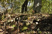 Tibava – Choňkovce