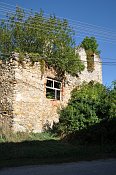 Dbravica