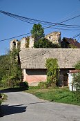 Dbravica