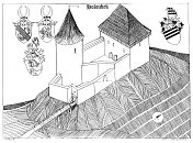 Holoubek_podle_M_Placka