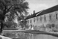 Bora  dobov fotografie